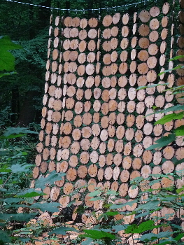 Metamorfose woodsculpture Amsterdam irma horstman